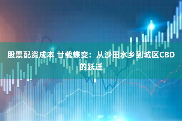 股票配资成本 廿载蝶变：从沙田水乡到城区CBD的跃迁