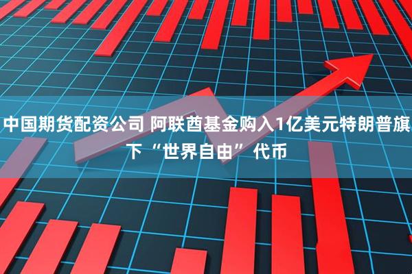 中国期货配资公司 阿联酋基金购入1亿美元特朗普旗下 “世界自由” 代币