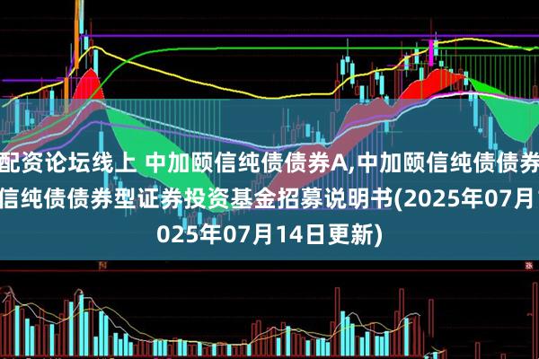 配资论坛线上 中加颐信纯债债券A,中加颐信纯债债券C: 中加颐信纯债债券型证券投资基金招募说明书(2025年07月14日更新)